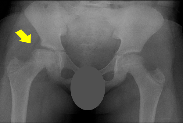Best Digital X Ray Centre